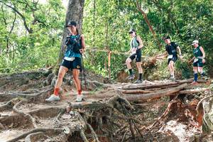 BIB: 
                            <button type="button" onclick="openModal(27718985)" class="btn btn-primary btn-sm float-right btn-popup" data-toggle="modal" data-target=".modal-high-quality">
                        <i class="fas fa-shopping-cart"></i> Add to Cart
                    </button>
                                            <button type="button" onclick="isThisMe(27718985, true)" class="btn btn-success btn-sm float-right btn-popup btn-isme hidden" data-toggle="tooltip" data-placement="bottom" title="นี่คือรูปของคุณใช่ไหม คลิกที่นี่เพื่อเอาเข้าอัลบั้ม">
                        <i class="fas fa-plus"></i> Add to album
                    </button>
                    <button type="button" onclick="isThisMe(27718985, false)" class="btn btn-warning btn-sm float-right btn-popup btn-isnotme hidden">
                        <i class="fas fa-ban"></i> Remove from album
                    </button>